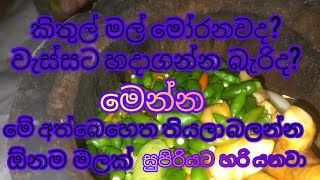 හදන්න බැහැ කියන ඕනම කිතුල් මලකට මේ අත්බෙහෙත තියන්න  වැඩේ ගොඩ👌kithul product🌴sri lanka👍👌🌴 02 අත්බෙහෙත