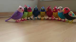 DigiBirds: Let's get 9 DigiBirds singing together.