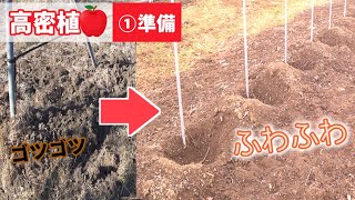 1【高密植りんご】1年目 「これやってある？」苗木を植える前の準備【詳細】