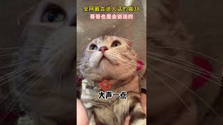 全网最会说人话的猫38-哥哥也是会说话的~#cat #healing #funny #cutecat #funnyvideo