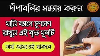 আগামী সোমবার অমাবস্যার দিন করুন এই উপায় | সৌভাগ্য লাভ হবেই