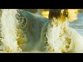 Born to Fight (Trailer)