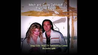 Mitch and Gayle DeMatoff