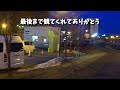 a corgi traveling in a camper in hokkaido.