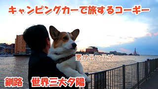 A corgi traveling in a camper in Hokkaido.