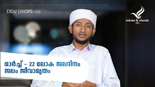 മാർച്ച് - 22 ലോക ജലദിനം | ജലം ജീവാമൃതം | ജല ദുർവിനിയോഗം |തണ്ണീർകുടം| VALUES AND VISUALS