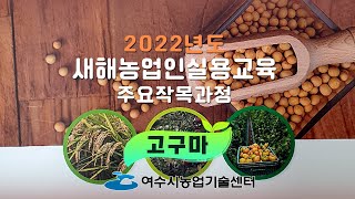 2022년도 새해농업인실용교육 - 고구마편