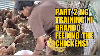 PART 2 NG TRAINING NI BRANDO FEEDING THE CHICKENS!