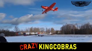 Winter flights on Kingcobras | Aeroclass Hobby #aircraft  #rcplane