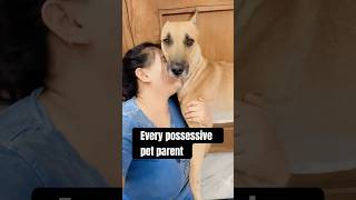 Every possessive pet parent #doglover #straydoglove #dogshorts #dogvideoscompilation #animalshorts