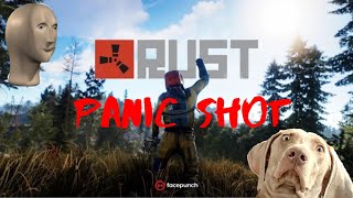 Panic Button Bash - RUST