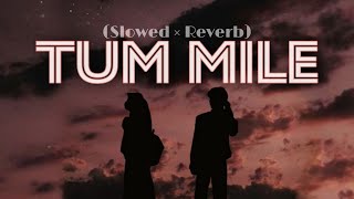Tum Mile (Love Reprise) - Slowed And Reverb - Love Song - Lofi Player