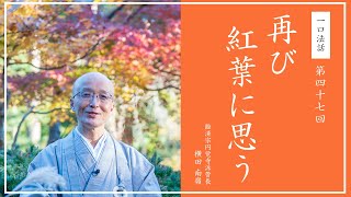 【一口法話】第47回「再び紅葉に思う」｜ 臨済宗円覚寺派管長 横田南嶺老師