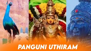 panguni uthiram whatsapp status tamil / 🙏🙏🙏murugan WhatsApp status tamil / 🙏🙏🙏god murugan status