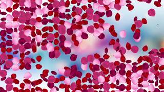 Interactive Effect - Scatter