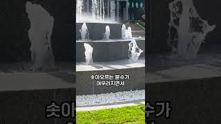 [2024 3월] 계명대학교 대명캠퍼스 정문 및 광장 분수대 준공식