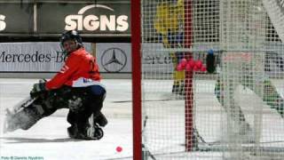 hammarby if bandy 2009-2010