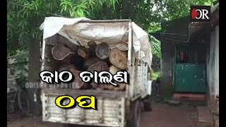 ଚୋରା କାଠ ଯବତ | Odisha Reporter