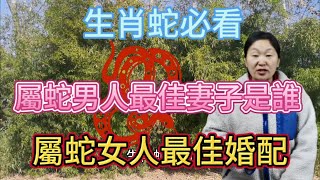 生肖蛇！屬蛇男人最佳妻子是誰？生肖屬蛇女人最佳婚配！生肖屬相蛇必看！#生肖 #運勢 #風水