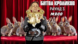 Битва кроликов. Раунд 3. Мясо / Rabbit Battle. Round 3. Meat