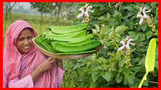 শিমের নাম ‘তলোয়ার’ চাষ করুন সহজেই // Cultivate bean name ‘sword’ easily II Digital Farmer