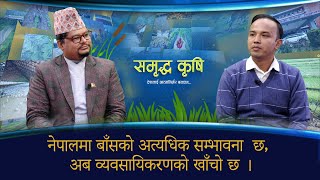 २ दशकदेखि बाँसको समृद्धलाई संवाहक बनाउदै प्रणव ll Pradab Pradhan ll Samridda Krishi | GNNᴴᴰ TV ||