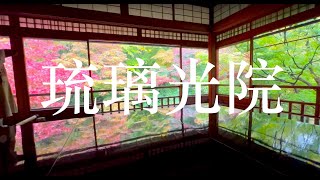 日本楓葉祭🍁琉璃光院、貴船神社與懷石料理｜日本哈密瓜真的好甜