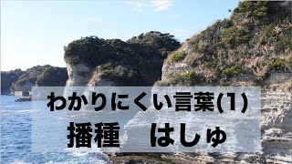 第４５回わかりにくい言葉（１）/ 播種　はしゅ