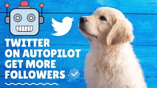 How to put twitter account in autopilot | Auto followers twitter | Twitter automation