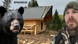 Log Cabin Build on Off-Grid Homestead |EP23| BEARS