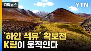 [자막뉴스] 2030년 세계 1위 달성 계획...'하얀 석유' 확보전 / YTN