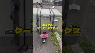 ハンターカブ納車 #ハンターカブ #shorts