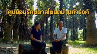 รายการเมืองไทยเมืองเกษตร EP.24 ศูนย์อนุรักษ์ตาลโตนดบ้านถ้ำรงค์ ออน 26 มี.ค. 2562