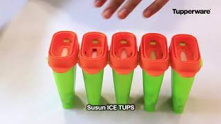 Tupperware Ice Cream Maker