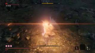 隻狼 : 水生阿凜 (困難無傷) / Sekiro : O'Rin ( Hard No Damage )