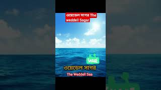 ওয়েডেল সাগর The Weddell Sagar । #shortvideo #youtubeshorts #viralvideo