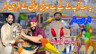 یہ سب آپ کے لیے ہے عدیل بھائی کے افر یو افر ڈیل افر سے فائدہ اٹھائیں