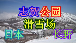 日本之旅：长野县 志贺高原滑雪场 面积广阔而且具有21个滑雪场和84条滑雪路线 长野21 Moopon