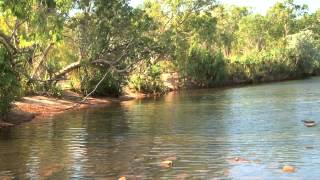 1 ThingsToDo Darwin Borroloola