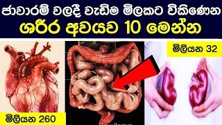 වැඩිම ගණනකට අලෙවි වන ශරීර අවයව 10 | most expensive body parts in the black market 2020 | sinhala