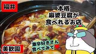 【美歓園 】ランチの種類とお値段がやばい！本場の麻婆豆腐を食べれる店【福井】【鯖江】【中華】【麻婆豆腐】【激辛】