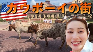 【フォートワースVLOG】カウボーイ\u0026ちょっとダラス寄った♪車で行った旅行の後編｜沃思堡VLOG，牛仔看起来并不忙♪