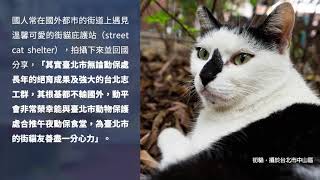 臺北市「午夜動保食堂」新開張 社區動物友善新意象