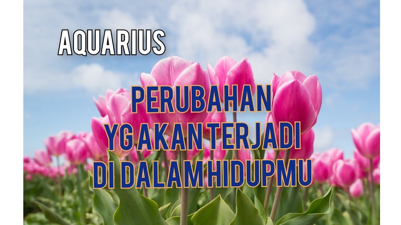 Aquarius, Perubahan Yg Akan Terjadi Di Dalam Hidupmu Untuk 3 Bulan Ke ...