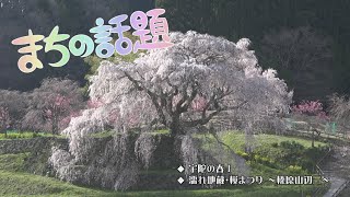 宇陀の春Ⅰ／濡れ地蔵・桜まつり ～榛原山辺三～