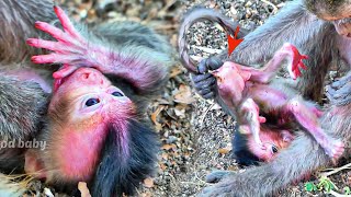 Awesomely Smalling Mom When to Nursing Checking Baby Adorable On The Grounds