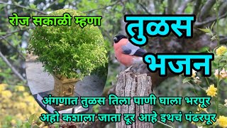 अंगणात तुळस तिला पाणी घाला भरपूर ! तुळशीचा अभंग #तुळशी #भजन ! तुळस गीत Tulashicha Abhang