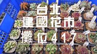 2025/01/11-12台北建國花市417擺攤APT起來 【 MC多肉園 】MC Succulent plant Vlog