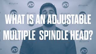 What is an Adjustable Multiple Spindle Head?