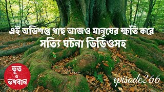 এই অভিশপ্ত গাছ আজও মানুষের ক্ষতি করে ভিডিওসহ @bhootobhogobanEp266|Bhuter Golpo|Horror|Suspense|